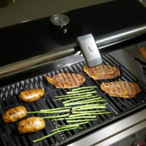 Weber Grill 'N Go Handle Light (7661) | Friendlyfires.ca