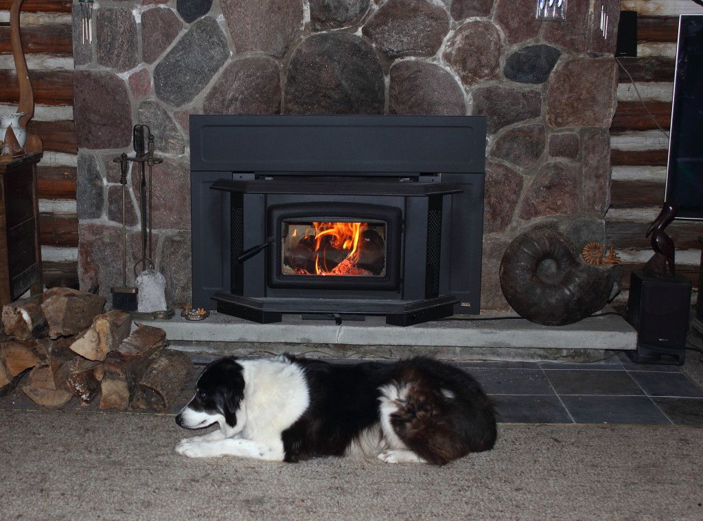 Pacific Energy Door Gasket Kit Super & Vista Series (DR31.WDGKIT)