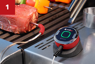 Weber iGrill 2 Thermometer friendlyfires.ca