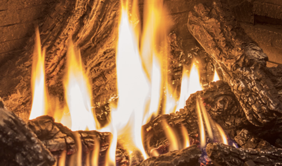 Enviro G39 Gas or Propane Fireplace Log Set | Friendly Fires