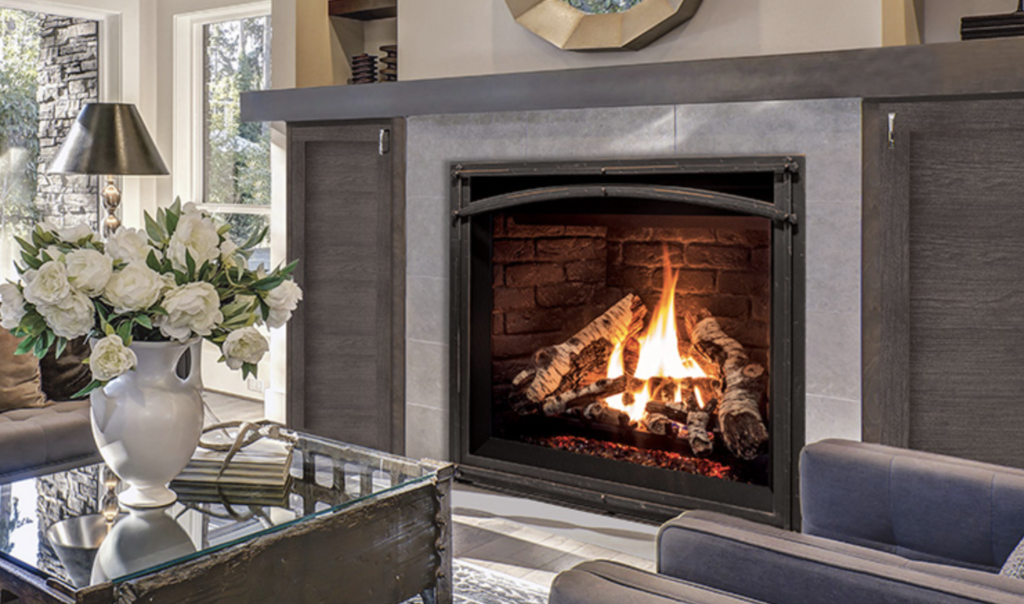 Enviro G42 Natural Gas or Propane FireplaceFriendly Fires