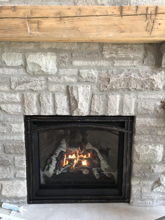 Enviro G42 Propane Natural Gas Fireplace Friendly Fires