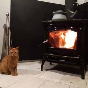 How a Wood-Burning Stove Can Improve Your Home Décor | Friendly Fires