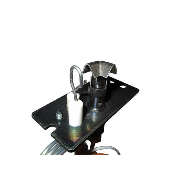 Enviro Pilot Assembly- LP- IPI (50-3997) | Friendly Fires