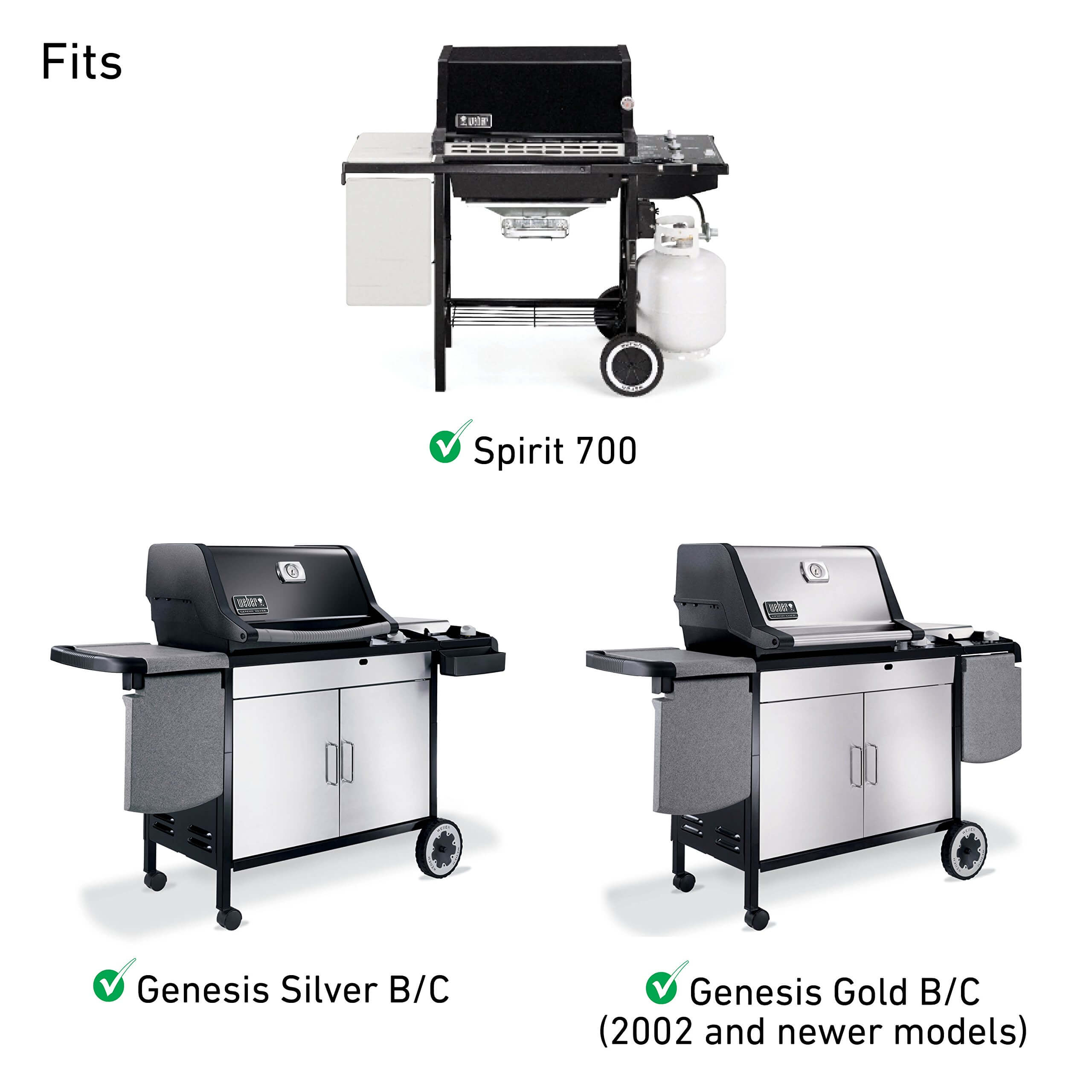 Genesis silver a grill hotsell