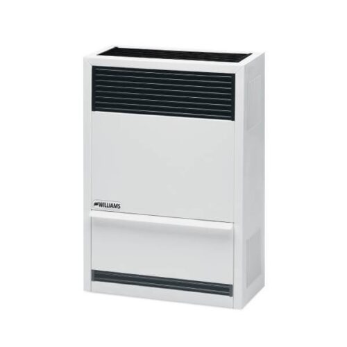 Clearance: Peterborough Showroom Burn Model - Williams DV Wall Furnace | 14,000 BTU | Natural Gas | Friendlyfires.ca